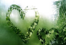 登上颁奖台，台下观众热情鼓掌——那一刻，人生被聚光灯温柔照亮