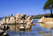 国安主场对阵鲁能，争取取得胜利